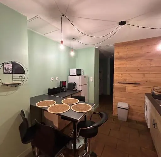 Διαμέρισμα Le Cosy Balat Biel Rdc Jardin Spacieux Grisolles (Tarn-et-Garonne)