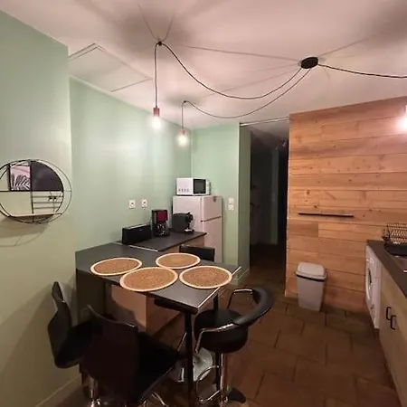 Apartment Le Cosy Balat Biel Rdc Jardin Spacieux Grisolles (Tarn-et-Garonne)